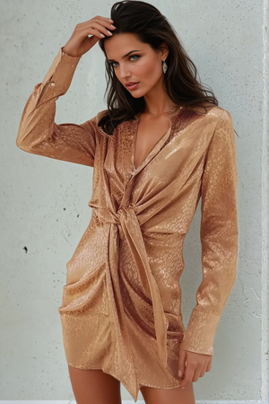 Charlotte Shirt Dress