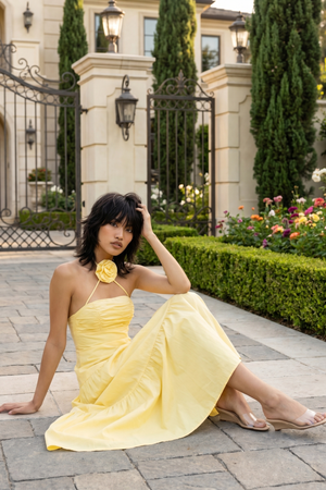Alina Halter Maxi Dress – Lemon