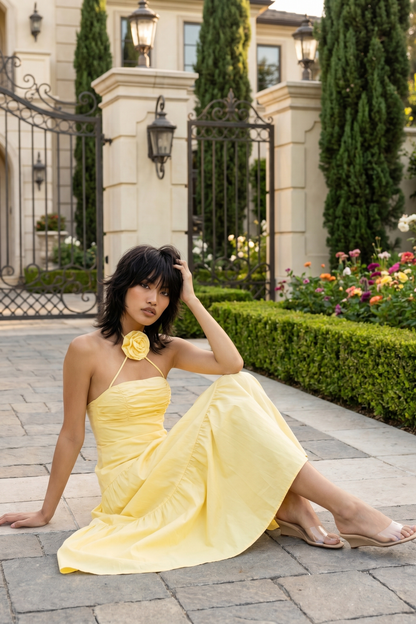 Alina Halter Maxi Dress – Lemon