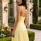 Alina Halter Maxi Dress – Lemon